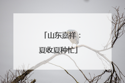 山东嘉祥：夏收夏种忙