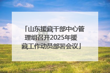 山东援藏干部中心管理组召开2025年援藏工作动员部署会议