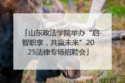 山东政法学院举办“启智职享，共赢未来”2025法律专场招聘会