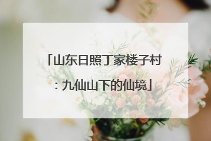 山东日照丁家楼子村：九仙山下的仙境