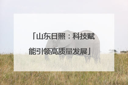 山东日照：科技赋能引领高质量发展