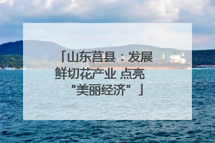 山东莒县：发展鲜切花产业 点亮“美丽经济”