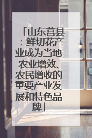 山东莒县：鲜切花产业成为当地农业增效、农民增收的重要产业发展和特色品牌