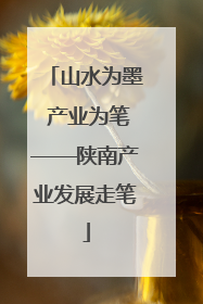 山水为墨 产业为笔——陕南产业发展走笔