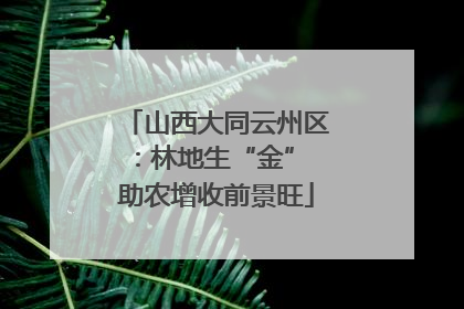 山西大同云州区：林地生“金” 助农增收前景旺
