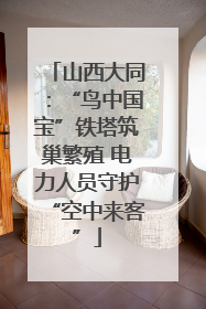 山西大同：“鸟中国宝”铁塔筑巢繁殖 电力人员守护“空中来客”