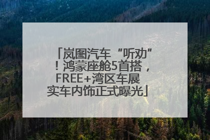 岚图汽车“听劝”！鸿蒙座舱5首搭，FREE+湾区车展实车内饰正式曝光