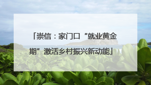 崇信：家门口“就业黄金期”激活乡村振兴新动能