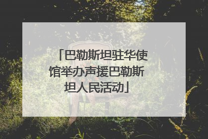 巴勒斯坦驻华使馆举办声援巴勒斯坦人民活动