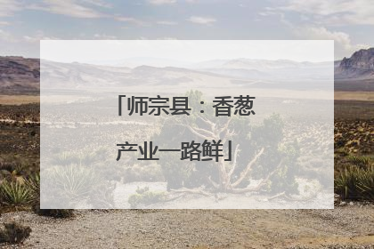 师宗县：香葱产业一路鲜