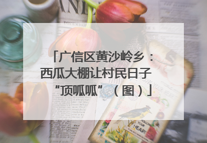 广信区黄沙岭乡：西瓜大棚让村民日子“顶呱呱”（图）