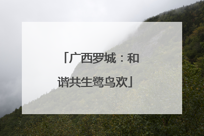广西罗城：和谐共生鹭鸟欢