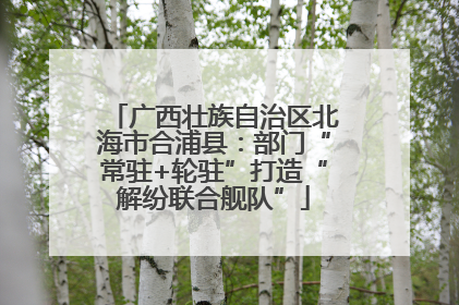 广西壮族自治区北海市合浦县：部门“常驻+轮驻”打造“解纷联合舰队”
