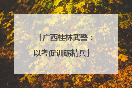 广西桂林武警：以考促训砺精兵