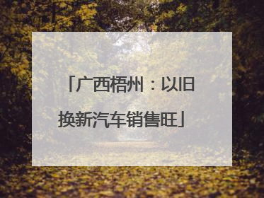 广西梧州：以旧换新汽车销售旺