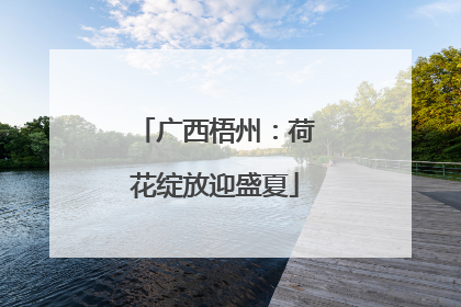 广西梧州：荷花绽放迎盛夏