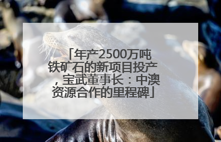 年产2500万吨铁矿石的新项目投产，宝武董事长：中澳资源合作的里程碑