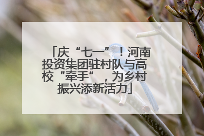 庆“七一”！河南投资集团驻村队与高校“牵手”，为乡村振兴添新活力
