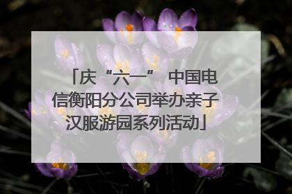 庆“六一” 中国电信衡阳分公司举办亲子汉服游园系列活动