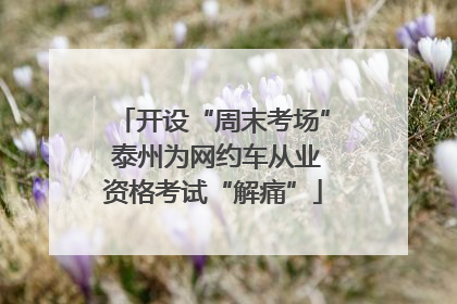 开设“周末考场” 泰州为网约车从业资格考试“解痛”