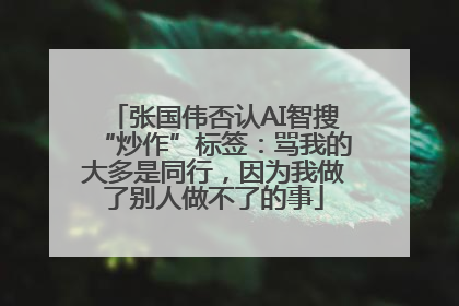张国伟否认AI智搜“炒作”标签：骂我的大多是同行，因为我做了别人做不了的事
