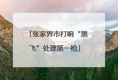 张家界市打响“黑飞”处理第一枪
