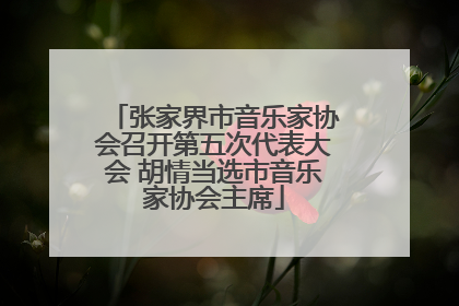 张家界市音乐家协会召开第五次代表大会 胡情当选市音乐家协会主席