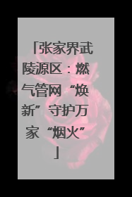 张家界武陵源区：燃气管网“焕新”守护万家“烟火”