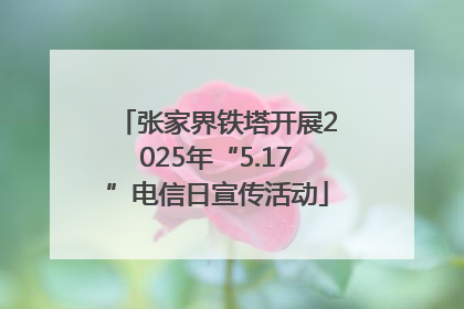 张家界铁塔开展2025年“5.17”电信日宣传活动
