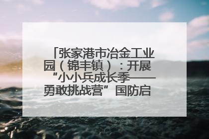 张家港市冶金工业园（锦丰镇）：开展“小小兵成长季——勇敢挑战营”国防启蒙教育活动