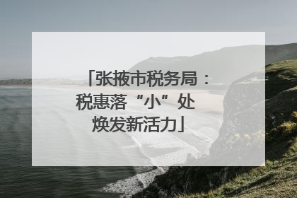张掖市税务局：税惠落“小”处 焕发新活力