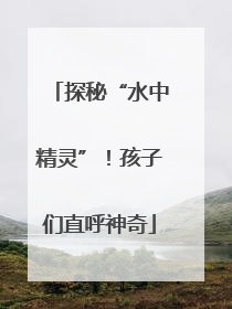 探秘“水中精灵”！孩子们直呼神奇