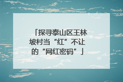 探寻泰山区王林坡村当“红”不让的“网红密码”