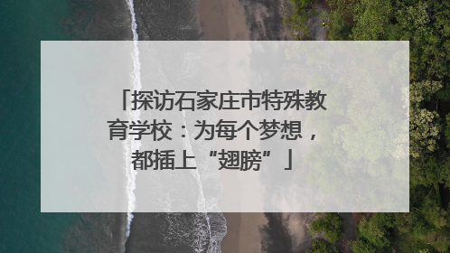 探访石家庄市特殊教育学校：为每个梦想，都插上“翅膀”