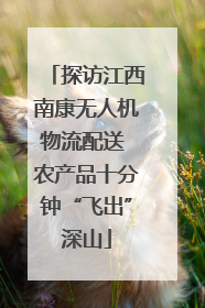 探访江西南康无人机物流配送 农产品十分钟“飞出”深山