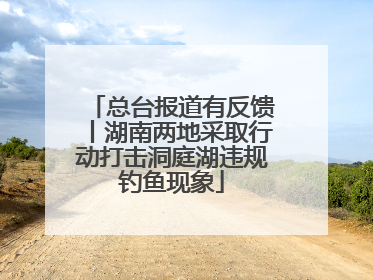 总台报道有反馈丨湖南两地采取行动打击洞庭湖违规钓鱼现象