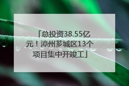 总投资38.55亿元！漳州芗城区13个项目集中开竣工