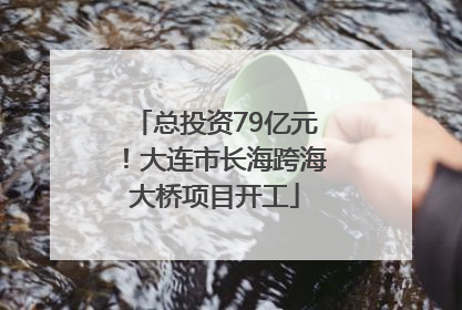 总投资79亿元！大连市长海跨海大桥项目开工