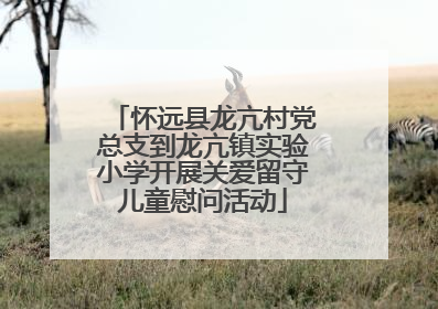 怀远县龙亢村党总支到龙亢镇实验小学开展关爱留守儿童慰问活动