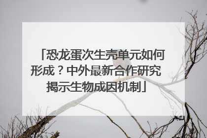 恐龙蛋次生壳单元如何形成？中外最新合作研究揭示生物成因机制