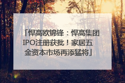 悍高欧锦锋：悍高集团IPO注册获批！家居五金资本市场再添猛将