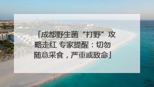 成都野生菌“打野”攻略走红 专家提醒：切勿随意采食，严重或致命