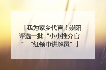 我为家乡代言！崇阳评选一批“小小推介官”“红领巾讲解员”