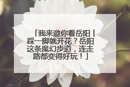 我来邀你看岳阳丨踩一脚就开花？岳阳这条魔幻步道，连走路都变得好玩！