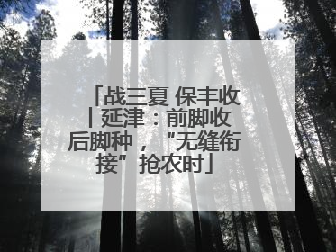 战三夏 保丰收丨延津：前脚收 后脚种，“无缝衔接”抢农时