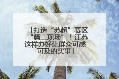 打造“苏超”赛区“第二现场”！江苏这样办好让群众可感可及的实事
