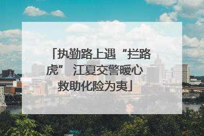 执勤路上遇“拦路虎” 江夏交警暖心救助化险为夷