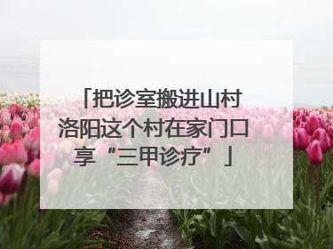把诊室搬进山村 洛阳这个村在家门口享“三甲诊疗”