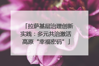 拉萨基层治理创新实践：多元共治激活高原“幸福密码”