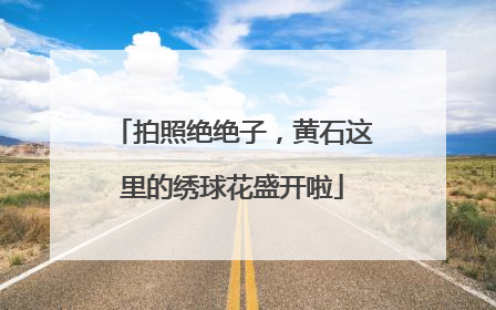 拍照绝绝子，黄石这里的绣球花盛开啦